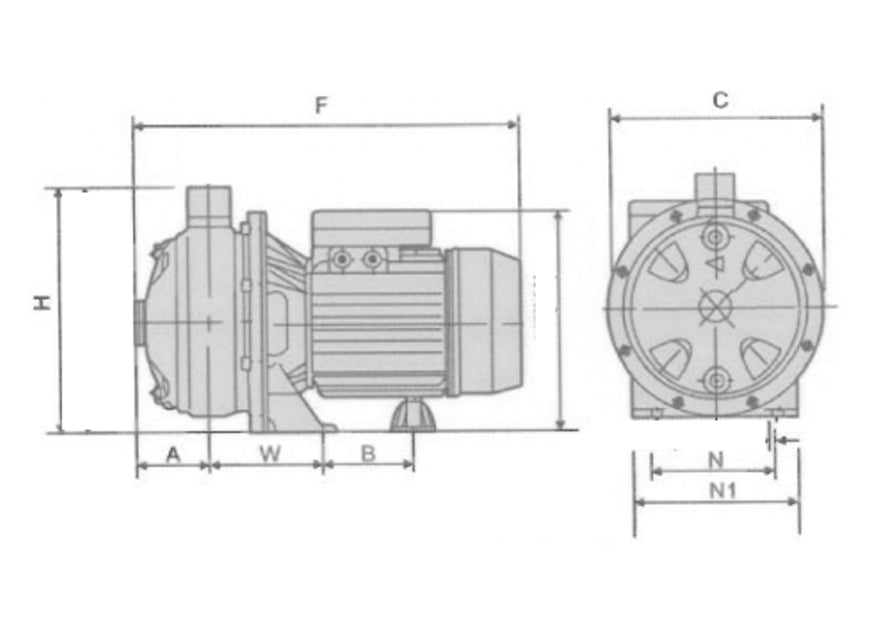 Dayliff DDS 750 Centrifugal Booster Pump
