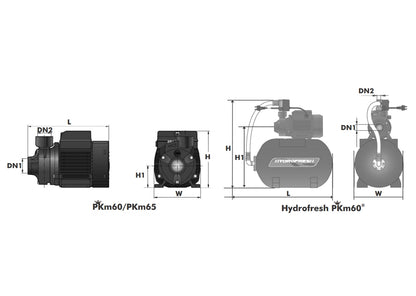 Pedrollo PKm60 Peripheral Impeller Booster Pumps